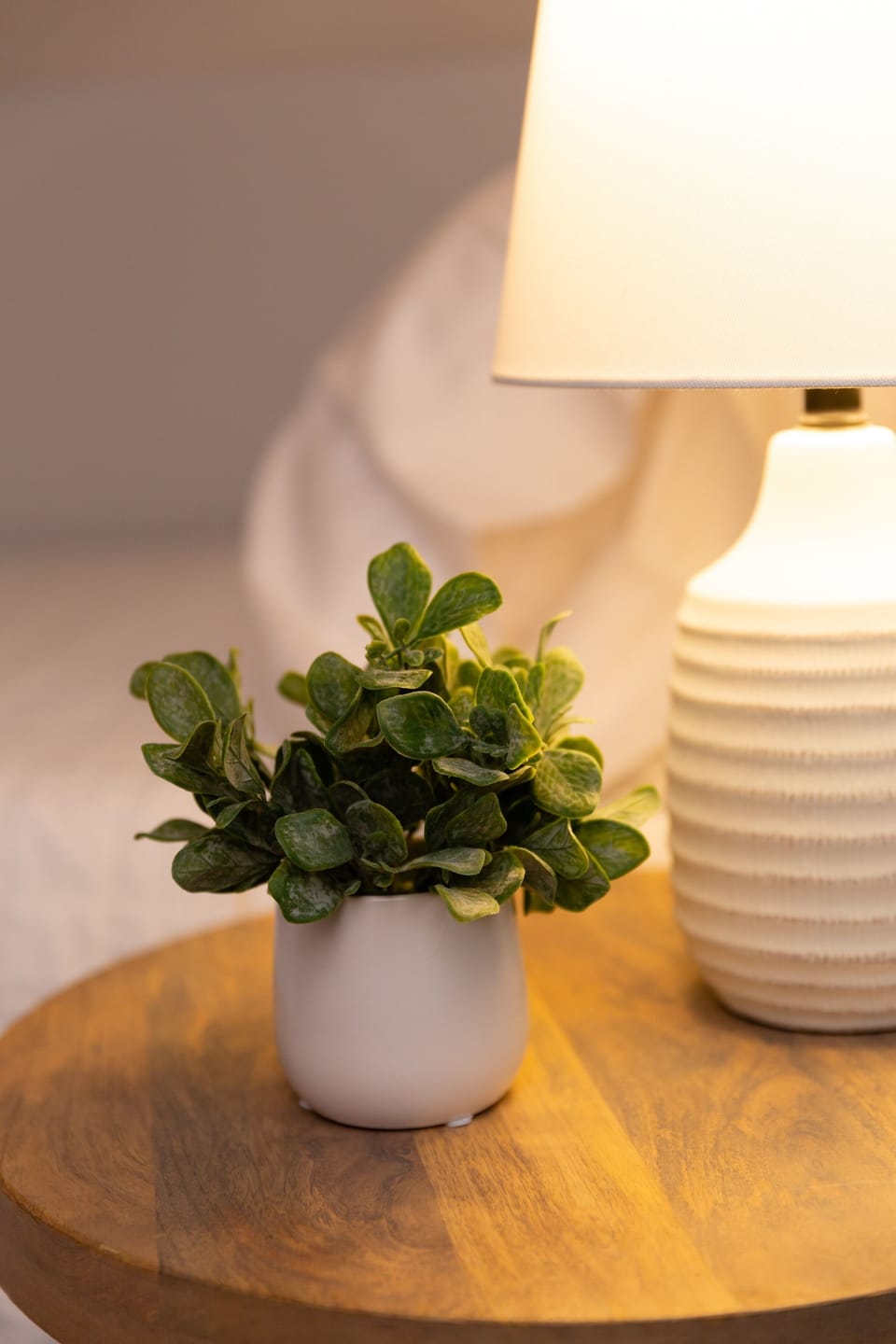 8ff64eb9-08cb-49a8-a216-f66ca4d673b8