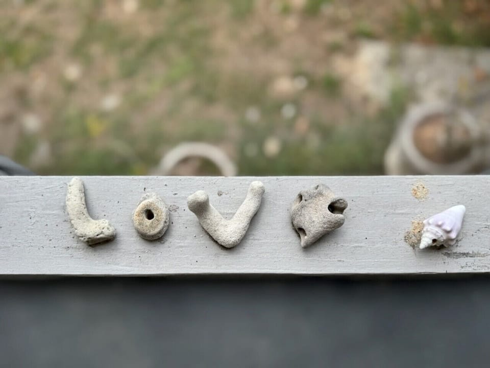 Coral & Shelling from front yard beach.