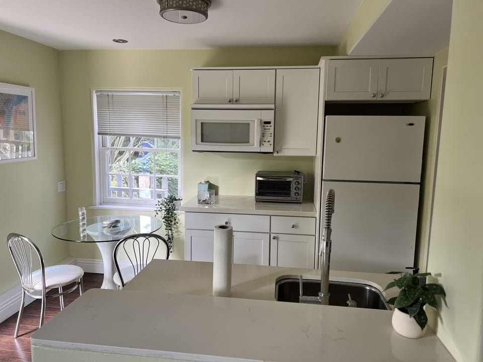 kitchenette, bathroom entrance to the right of the refridgerator 