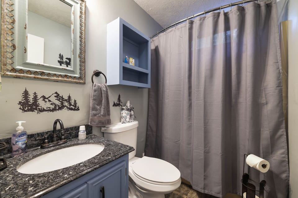 Lower Level Bathroom
