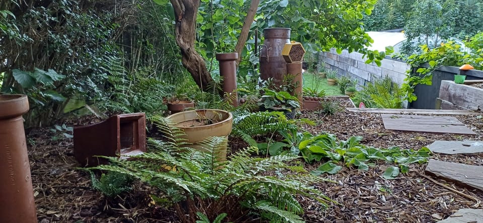 Mature gardens