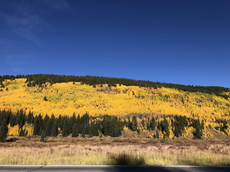 Colorado Aspens- a short drive in the fall