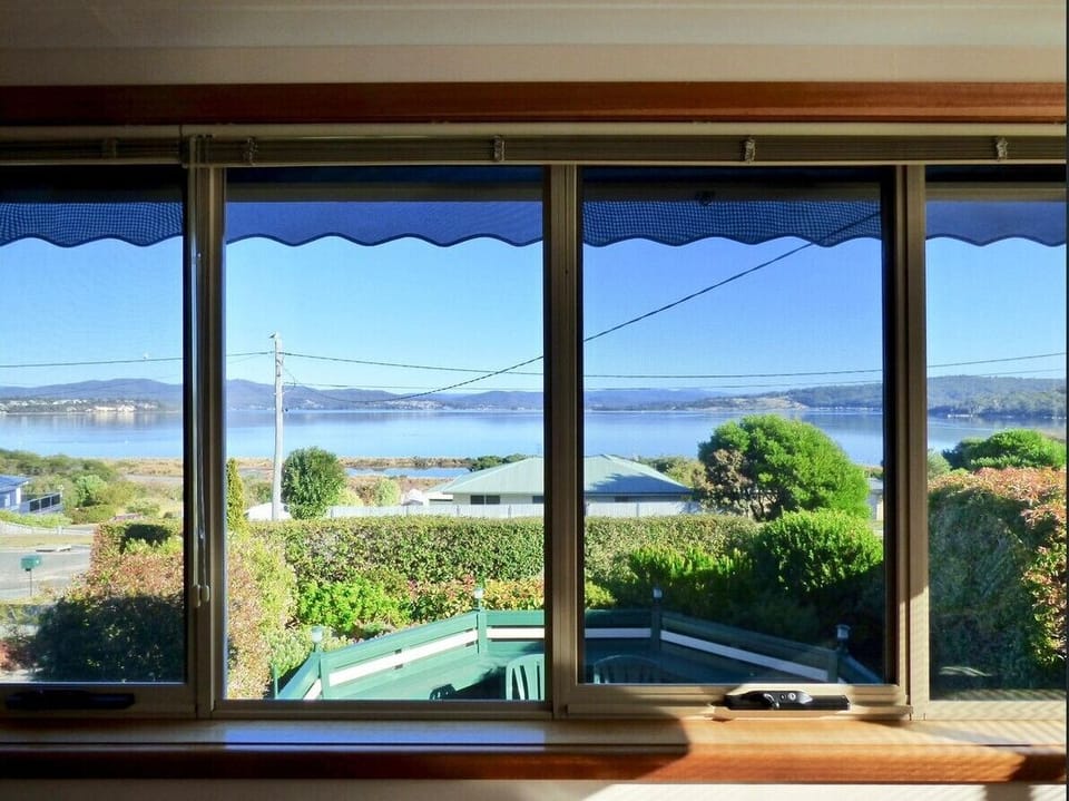 View from the sunroom