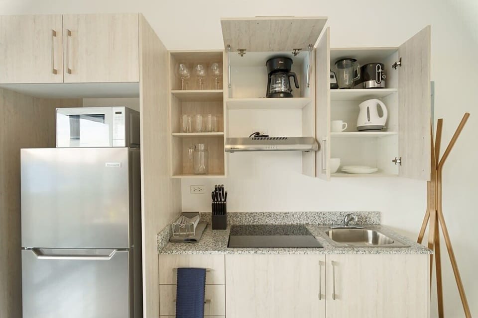 Modern kitchen with everything you need