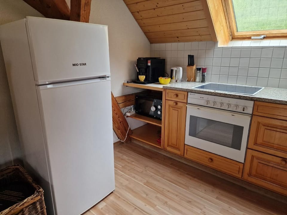 Kitchen - Refrigerator, fully automatic coffee machine (coffee available), kettle, microwave, ceramic hob and oven