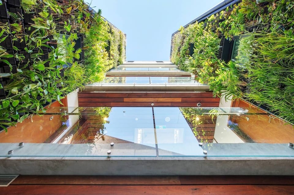 15-metre-high living walls will immediately evoke a rainforest valley feel in the heart of the Fern. 