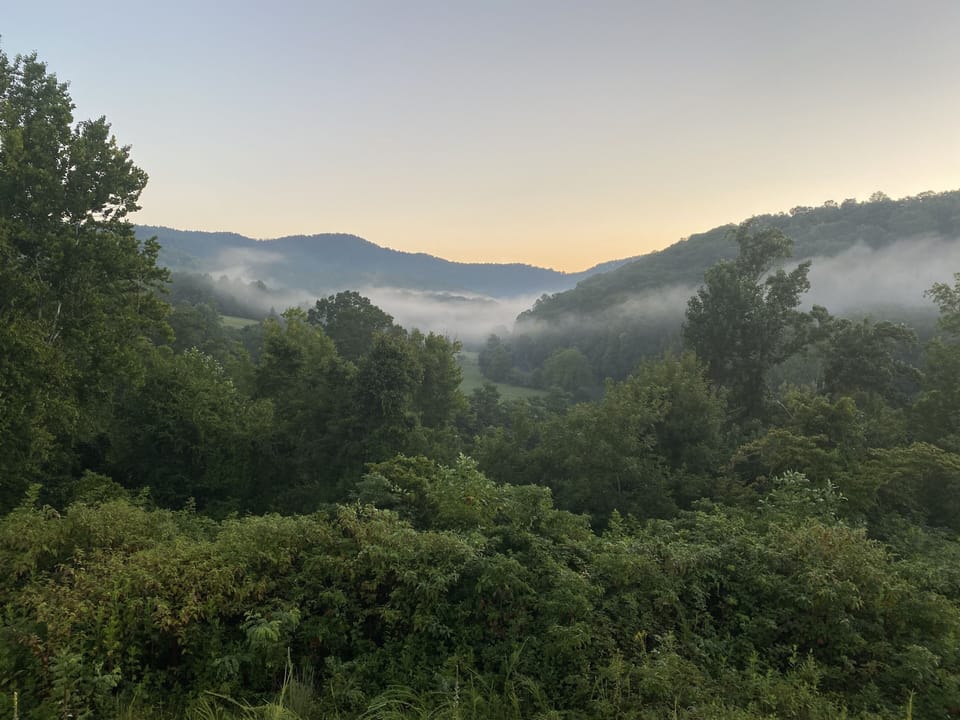 Early morning in Spring