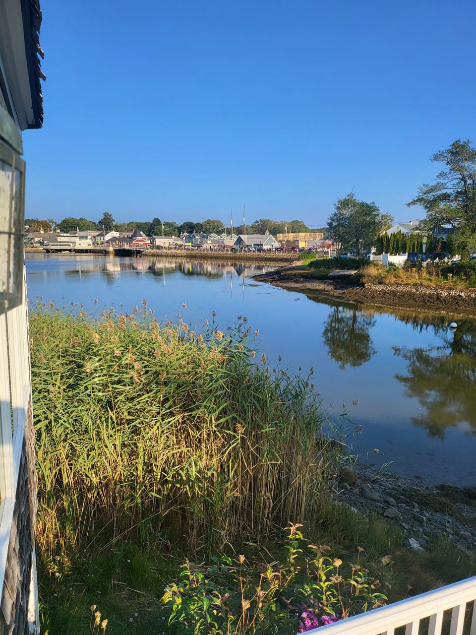 View from property