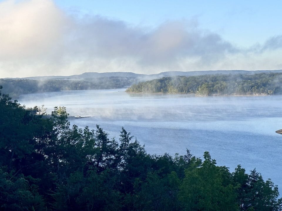 Beautiful on those foggy cool mornings.