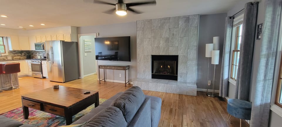 Living room fireplace
