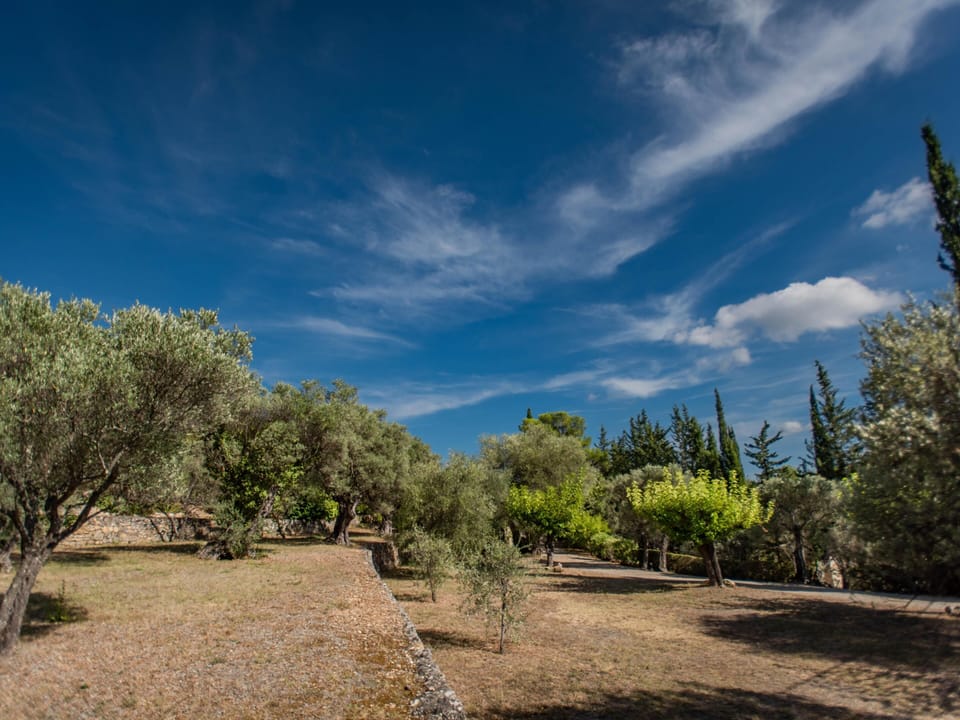 Immediate Surroundings [summer] (<1 km)