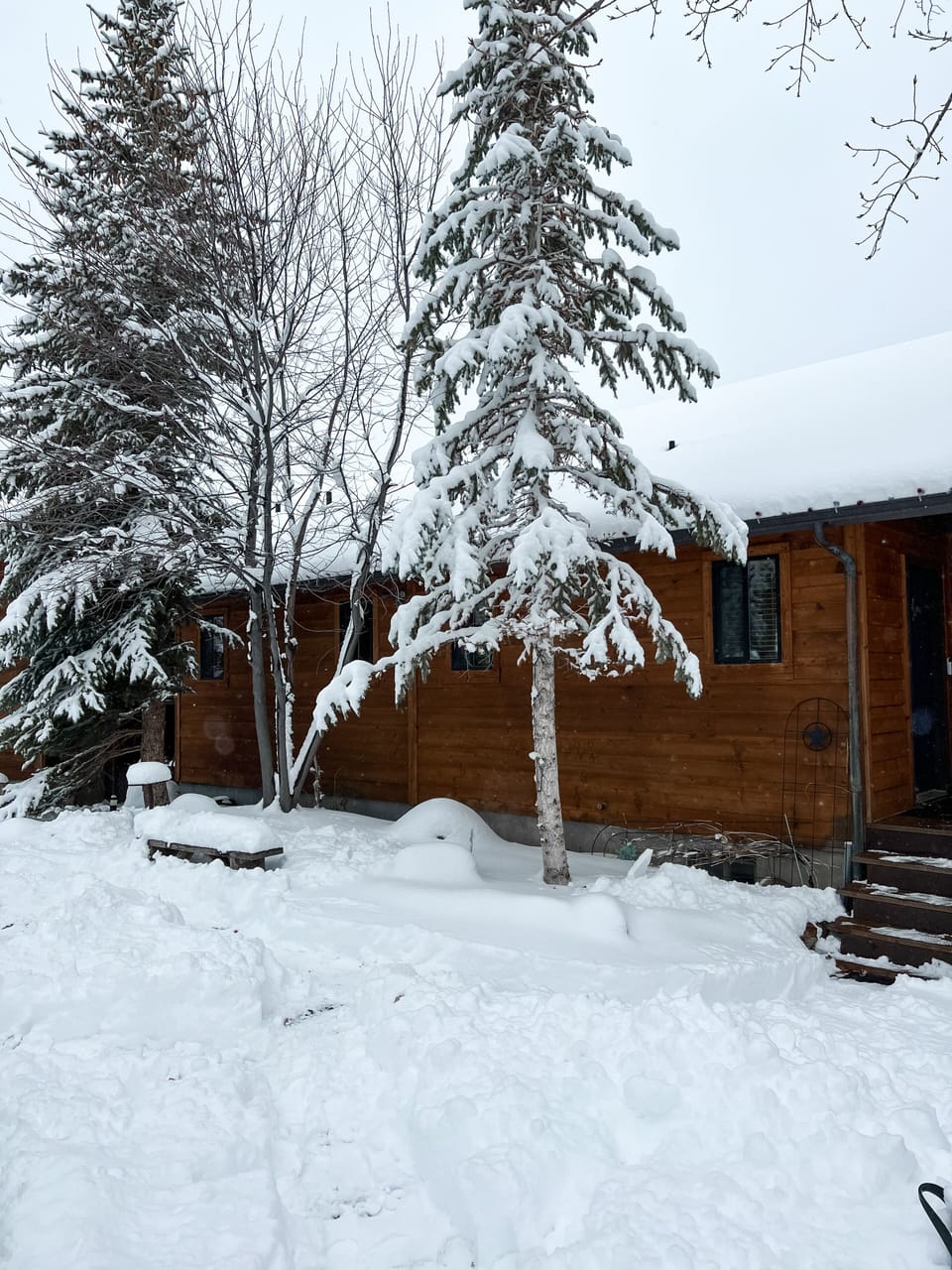 Winter at the Cabin