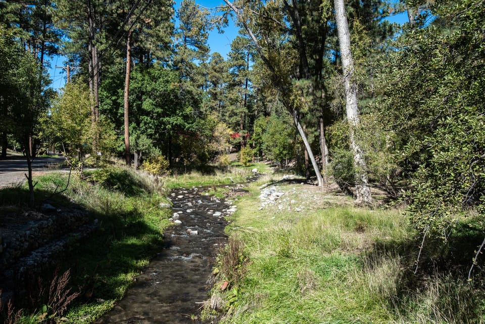 Nearby Little Creek