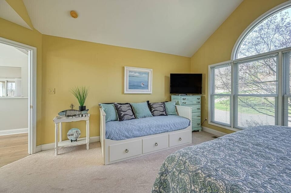 Sofa/ trundle bed and 40in TV 