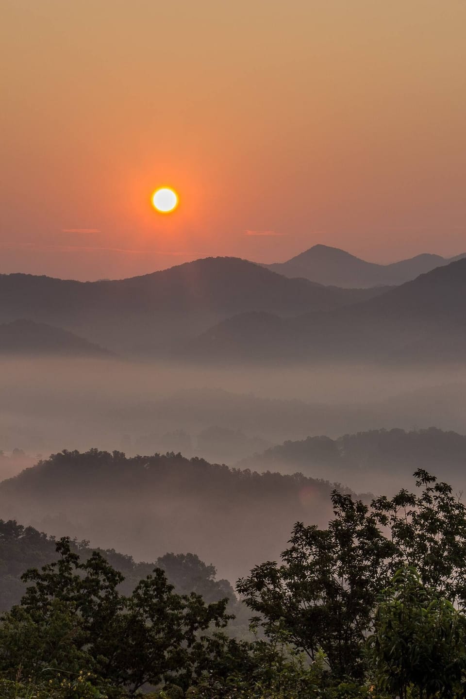 Book now to experience the perfect fusion of nature, luxury, and utter bliss.