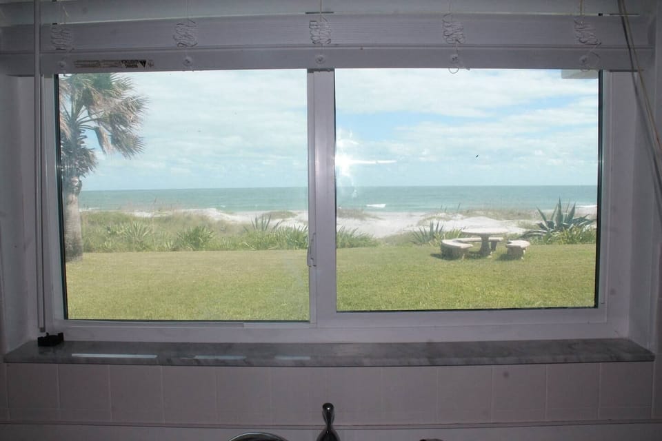 View from kitchen.