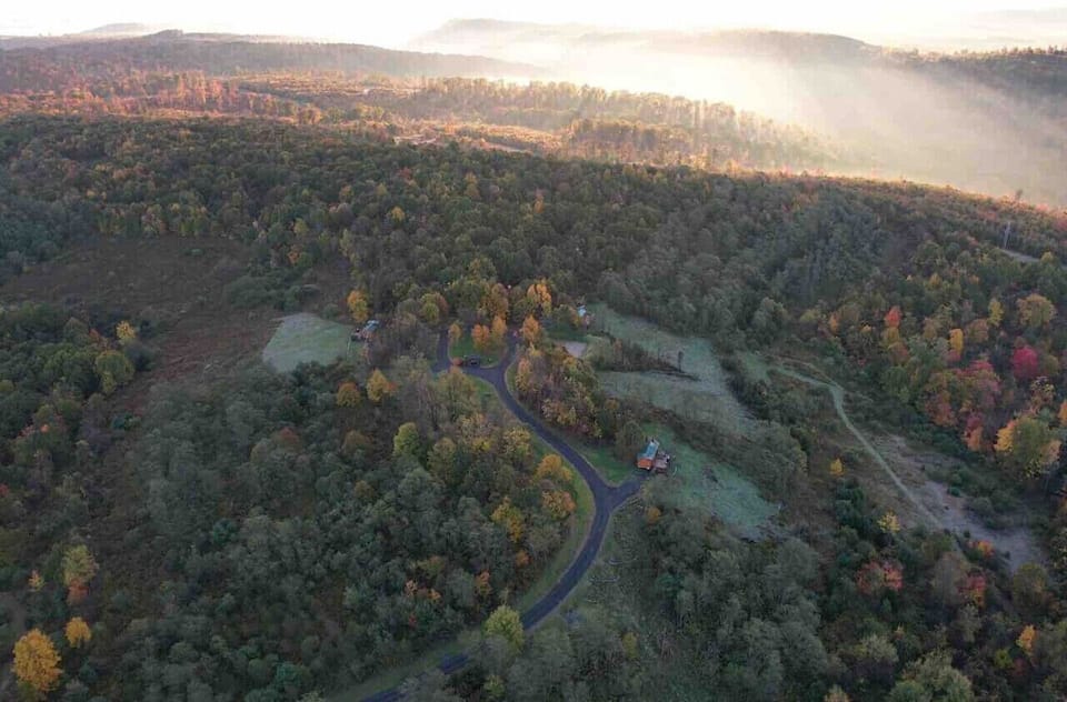 Expansive aerial view of rolling hills and dense forest