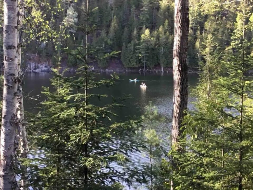 Canoe, kayak or pedal in one of the boats