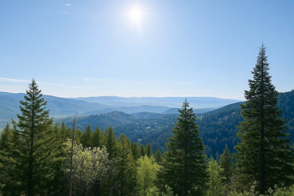 View from Shorts Trail lookout - 5 mins walk from the front door to this trailhead...it doesn't get much better than this!