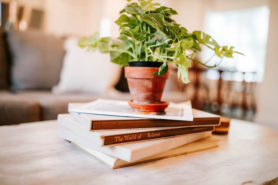 From art books to potted plants, every corner is designed to make your stay feel special.