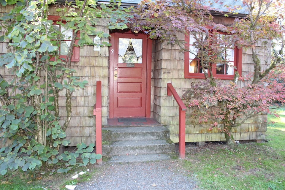 IMG_0362