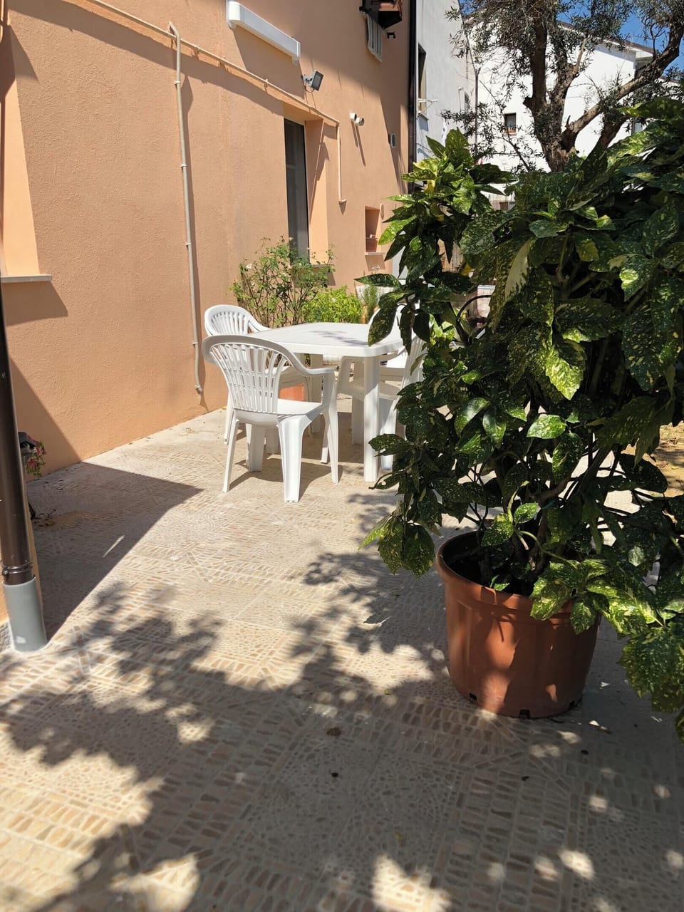 Garden view