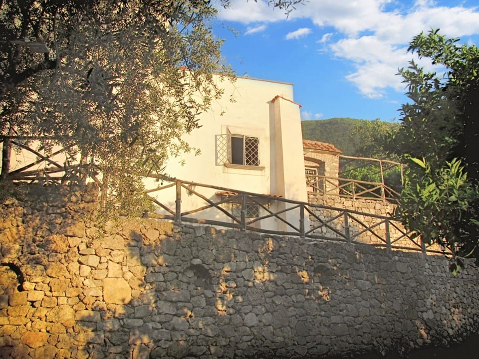 Back view