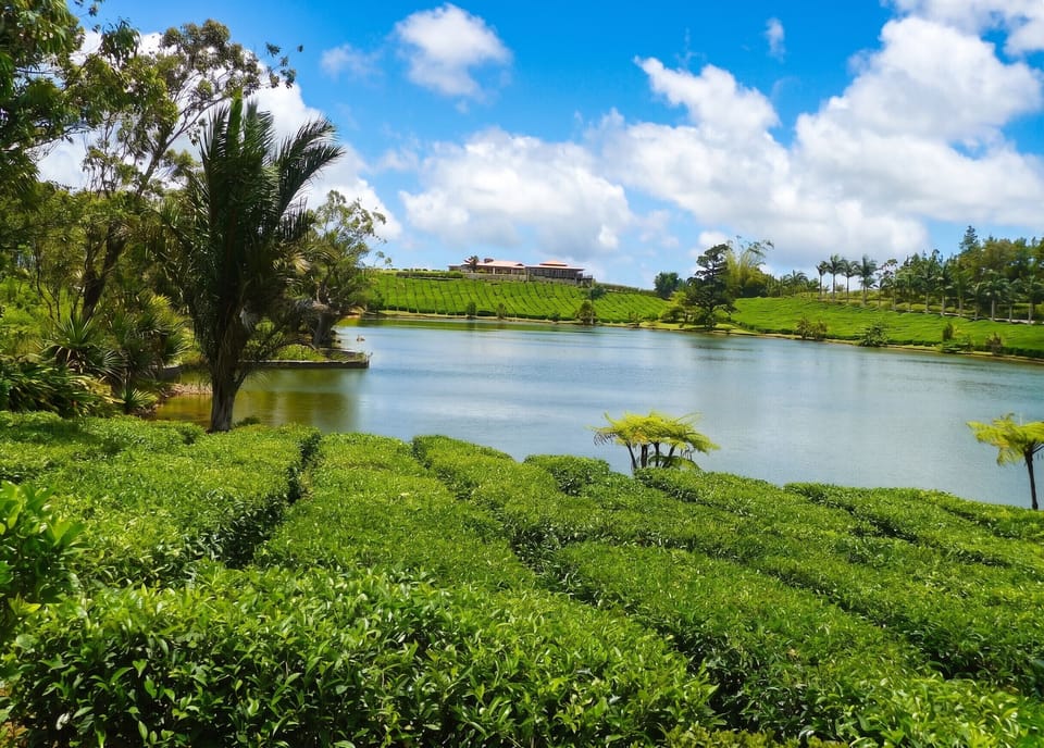 Lake view