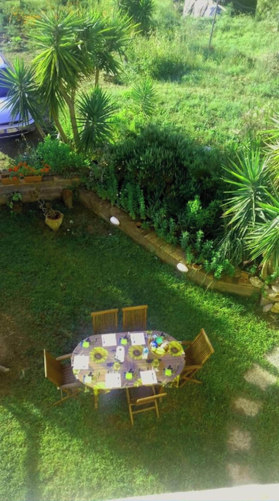 Garden