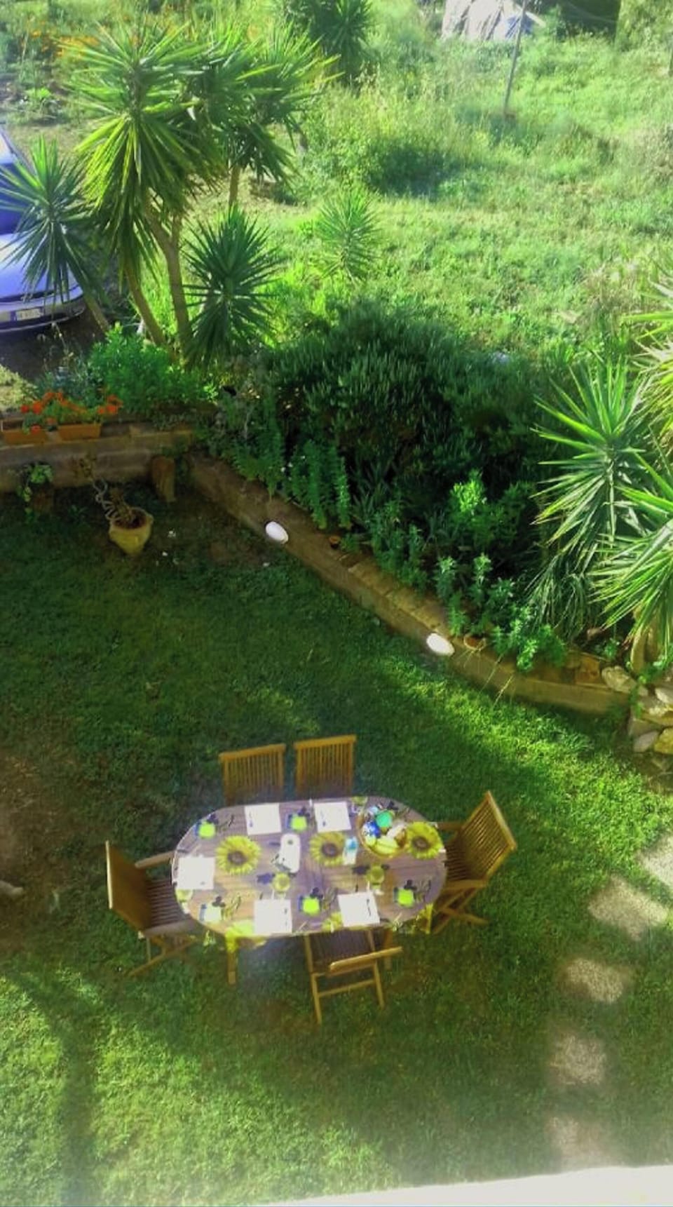 Garden