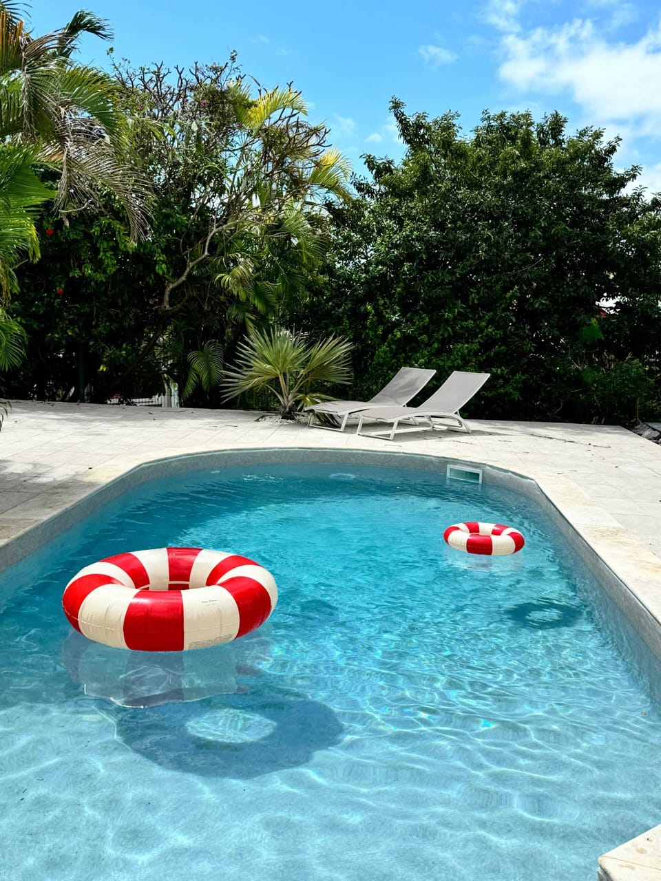 Swimming pool view