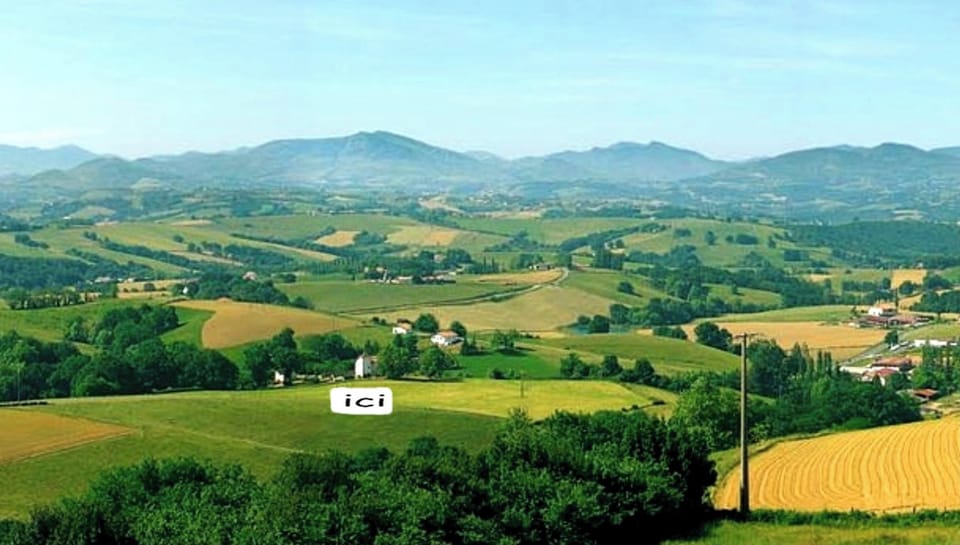 Areal view