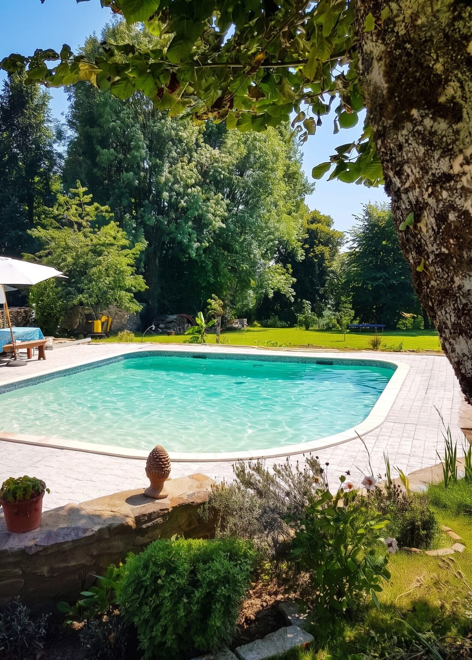 Swimming pool view