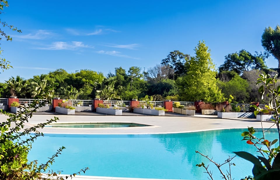 Swimming pool view