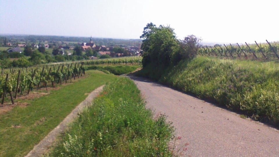 Areal view
