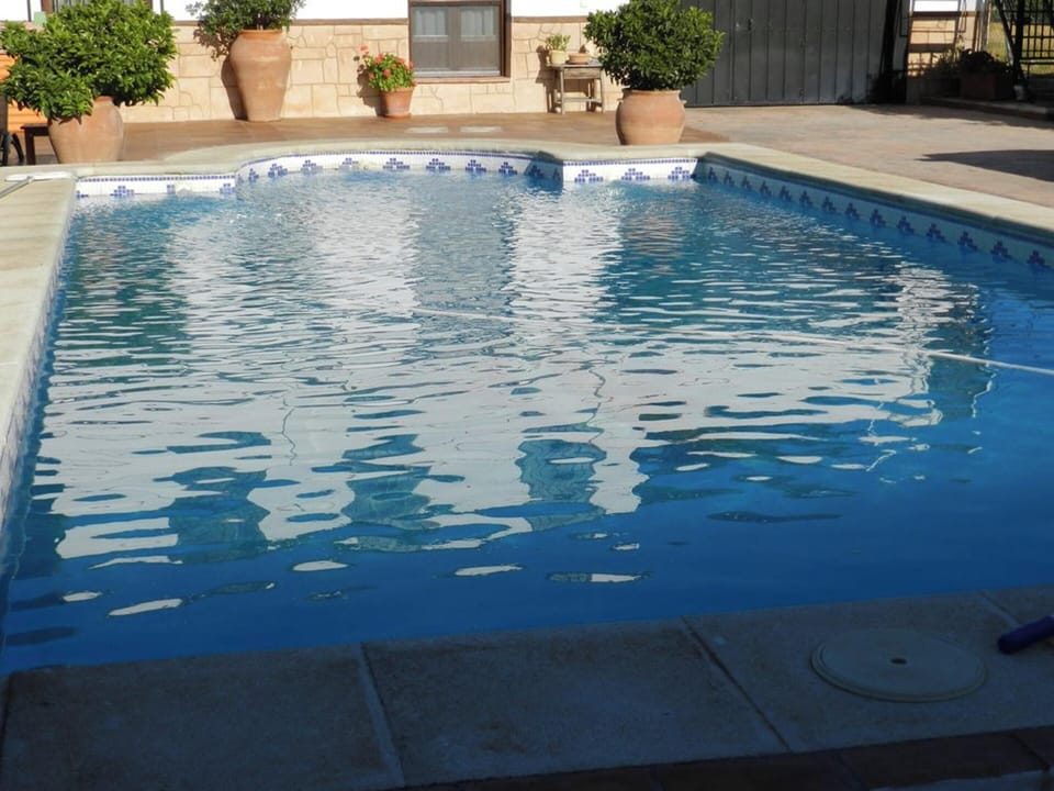 Swimming pool view