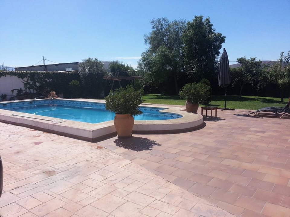Swimming pool view