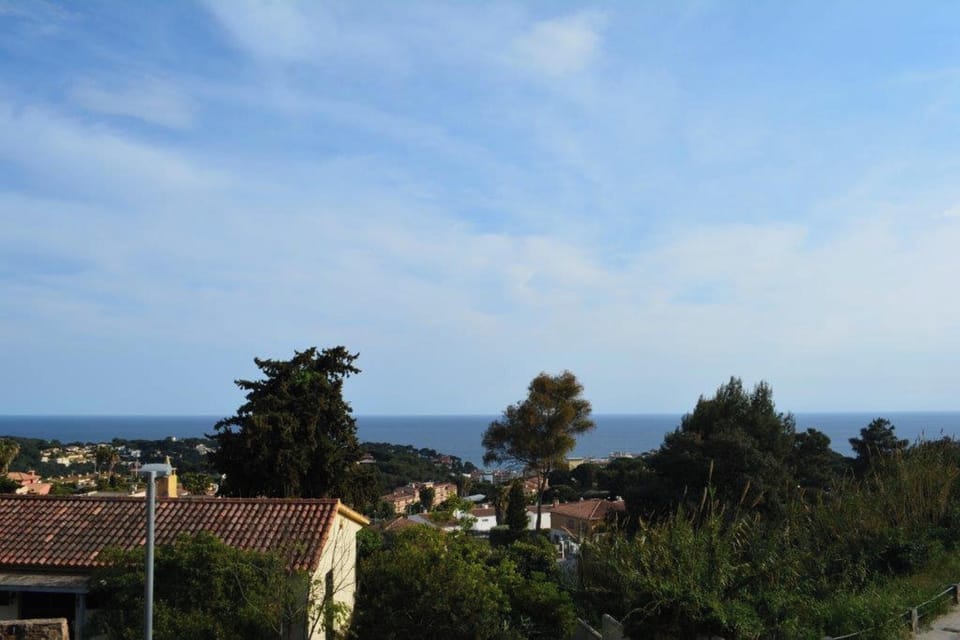 Areal view