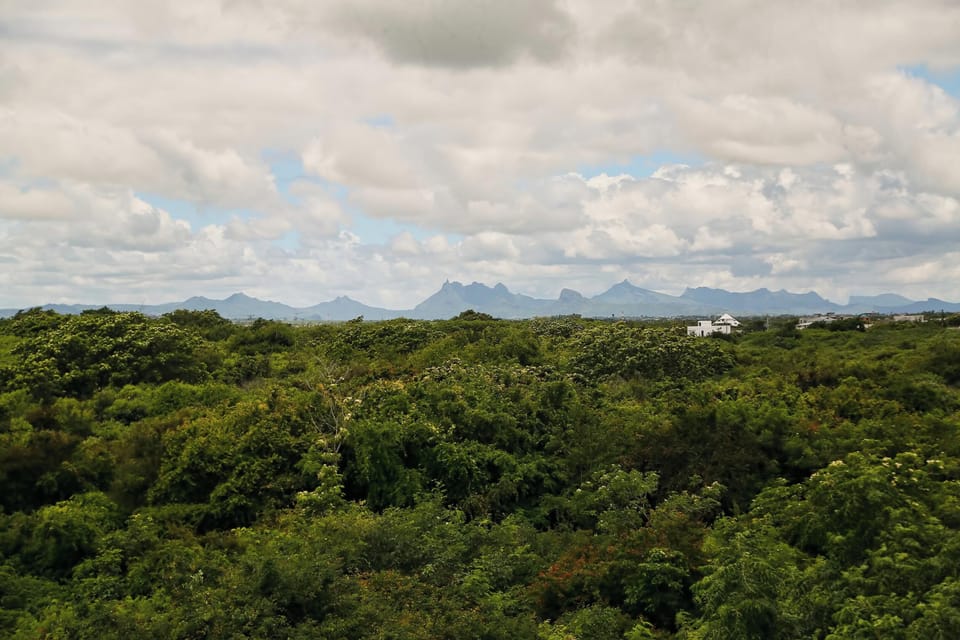Areal view