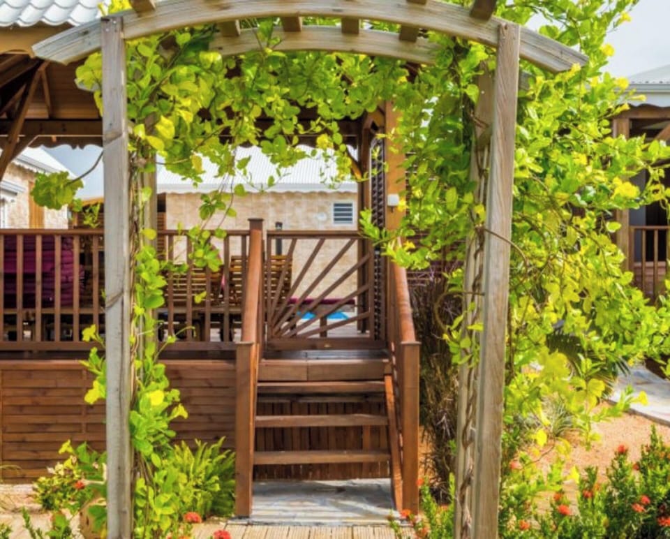 Garden view