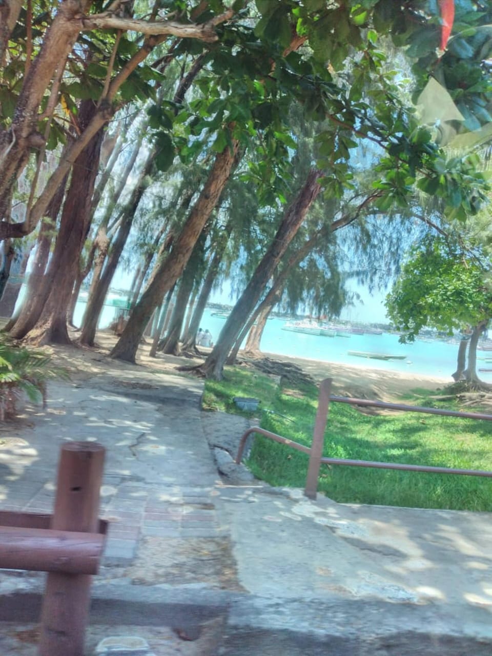 Areal view