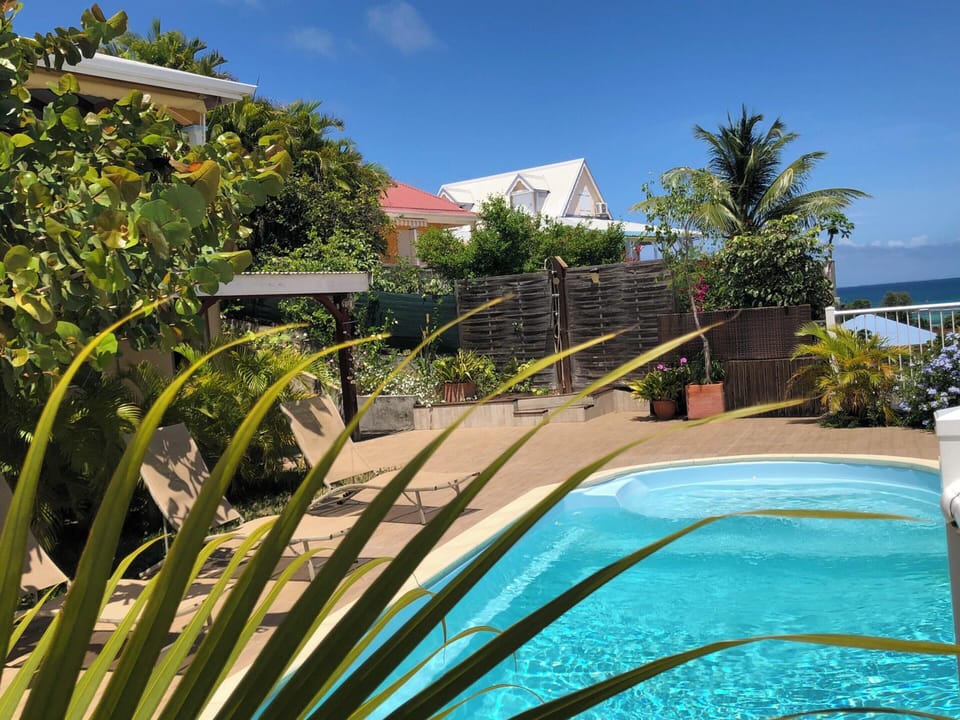 Swimming pool view