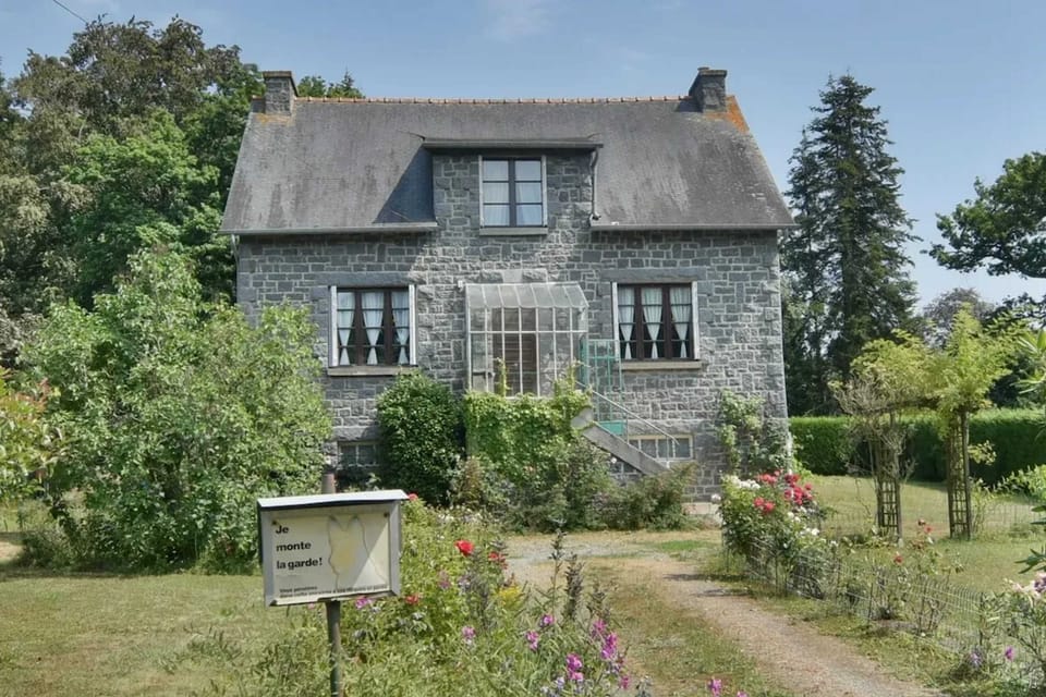 Front view