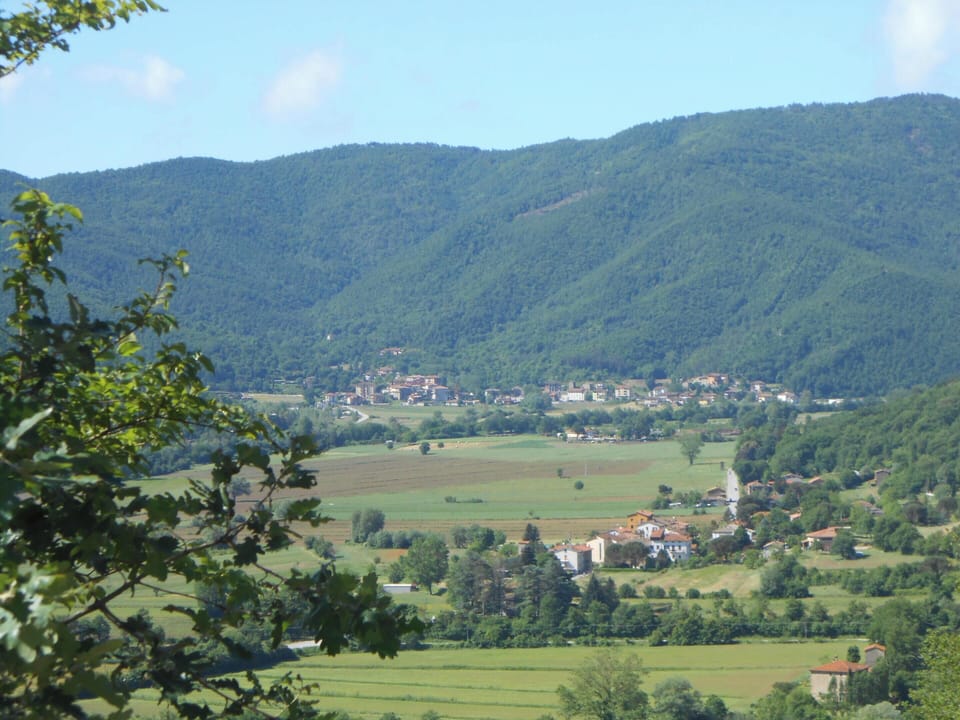 Mountain view