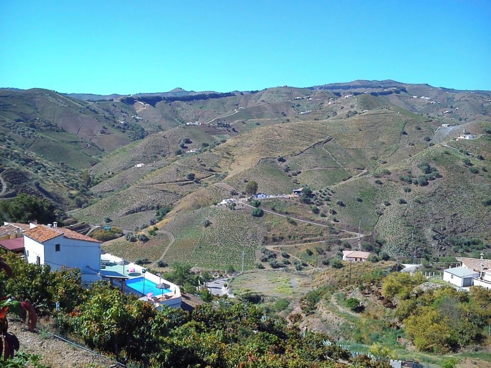 Areal view