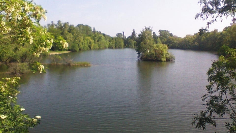 Lake view
