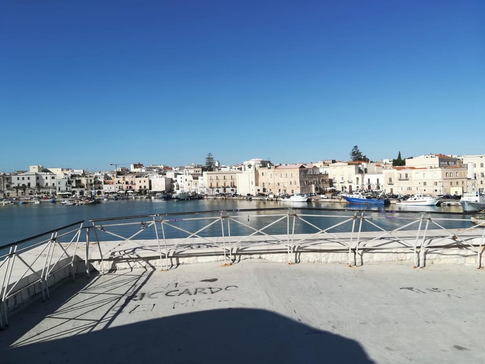 Areal view