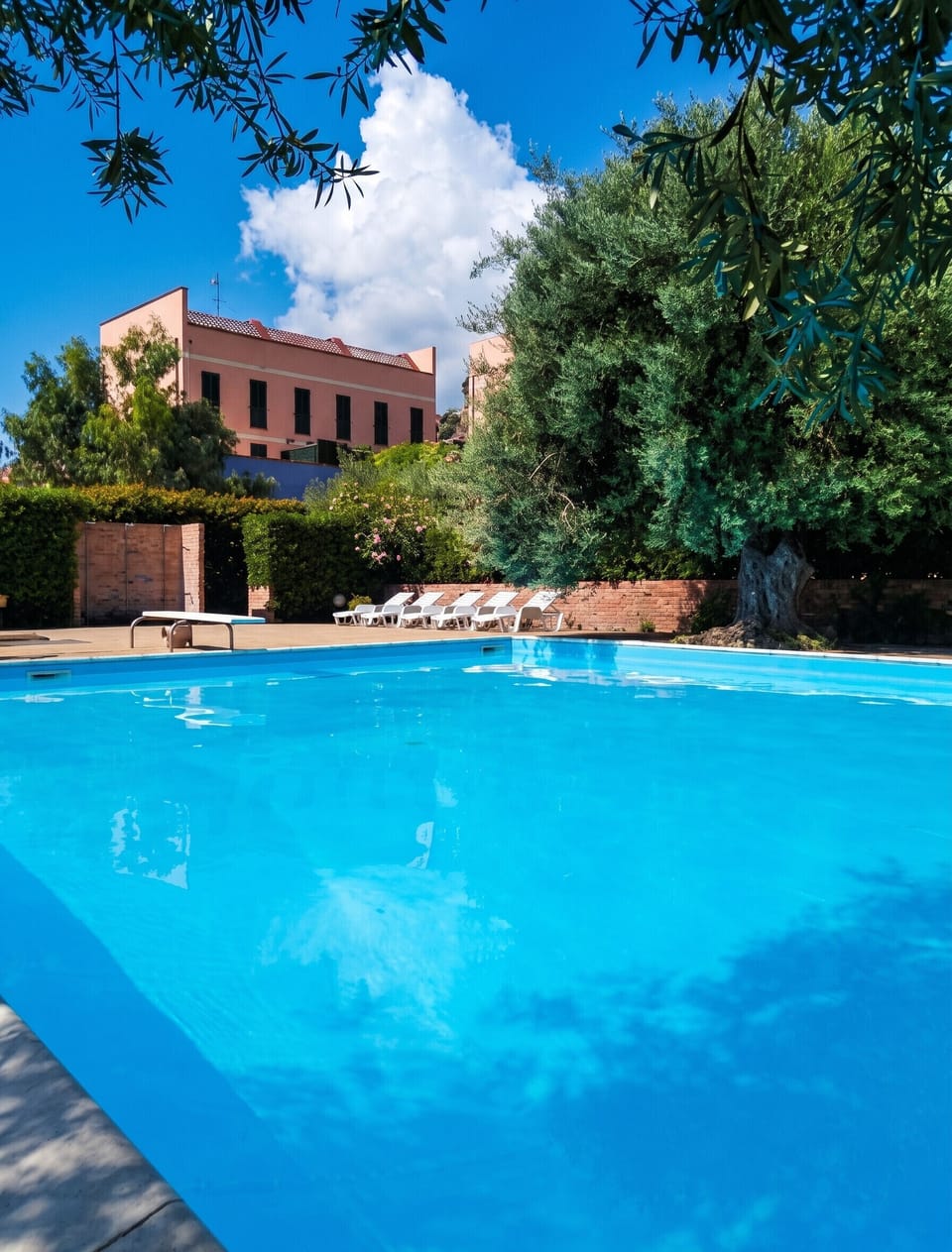 Swimming pool view