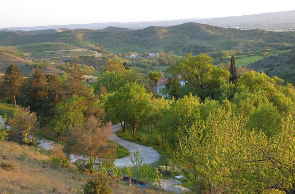 Areal view