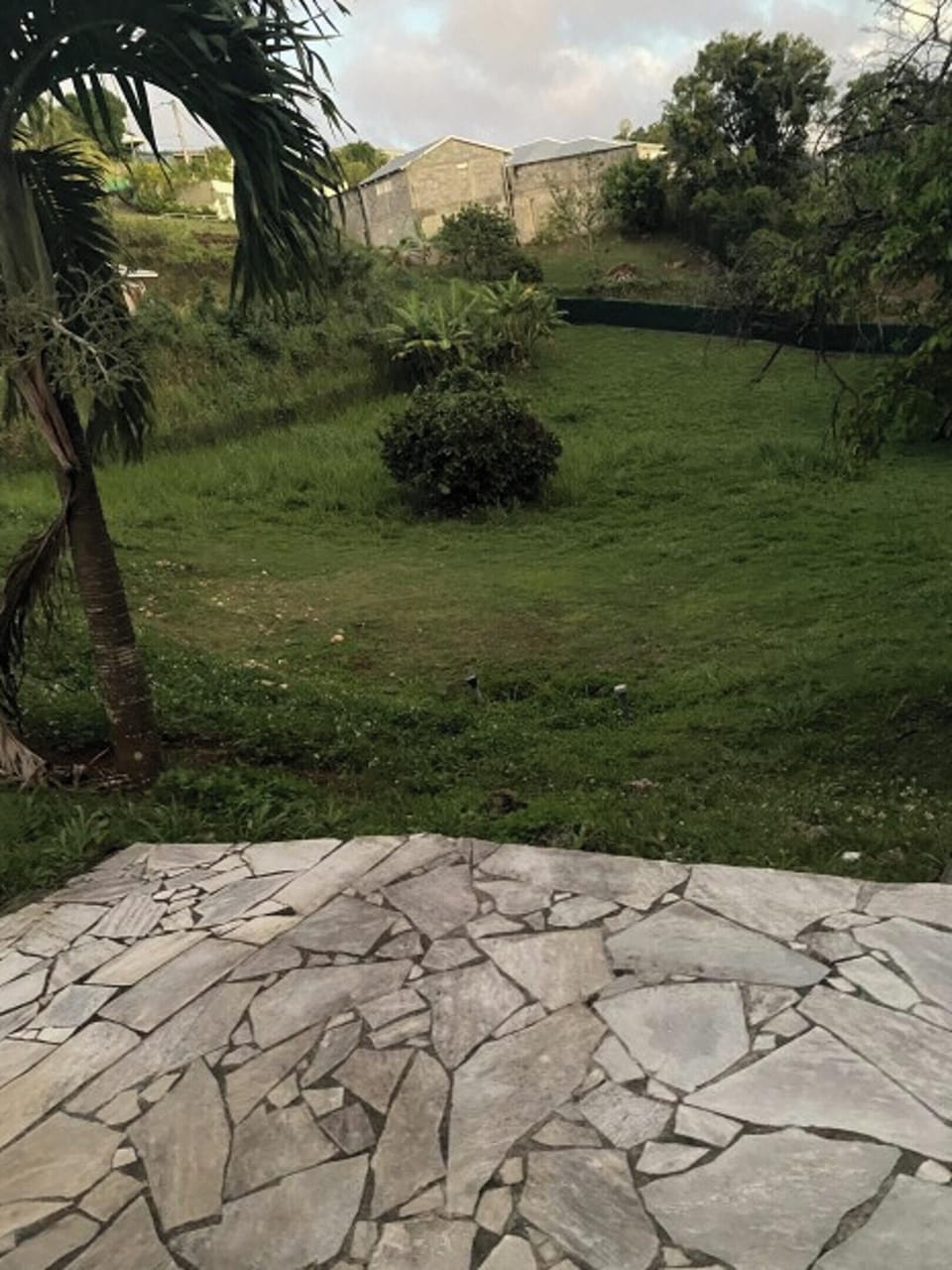 Areal view